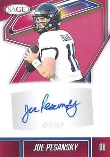 Joe Pesansky