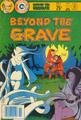 Beyond the Grave | Comic Books Beyond the Grave