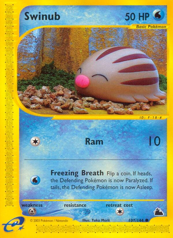 Swinub #107 Pokemon Skyridge