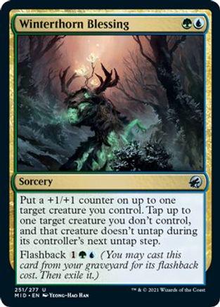 Winterthorn Blessing #251 Magic Innistrad: Midnight Hunt