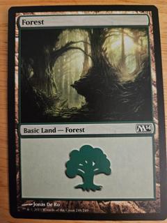 Forest