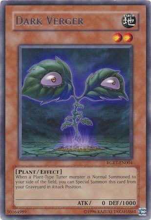 Dark Verger RGBT-EN004 YuGiOh Raging Battle