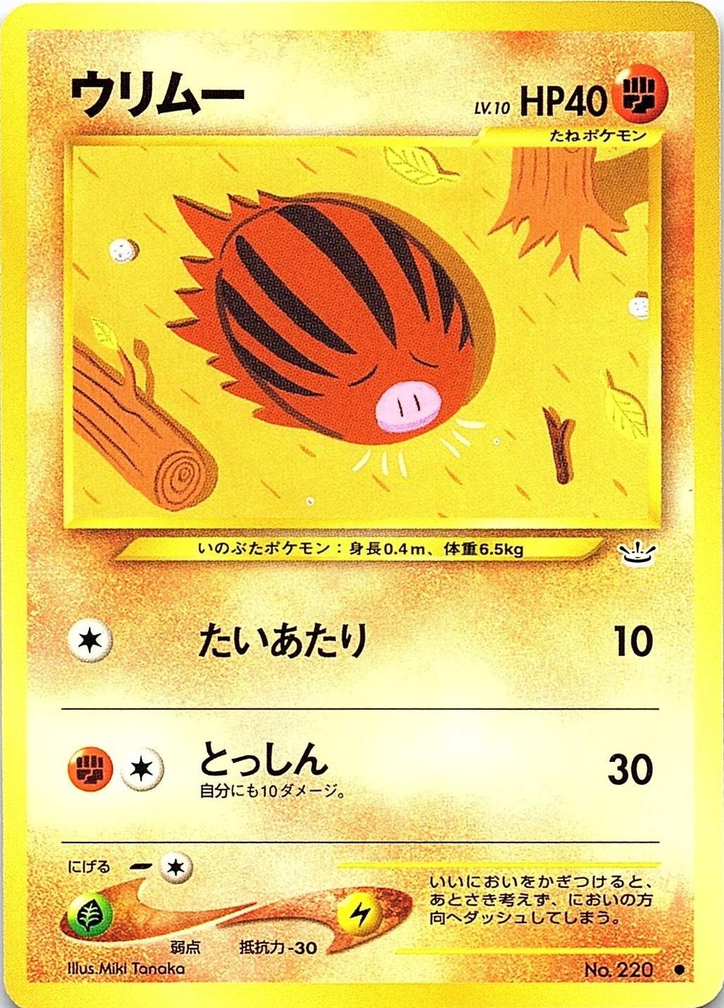 Swinub