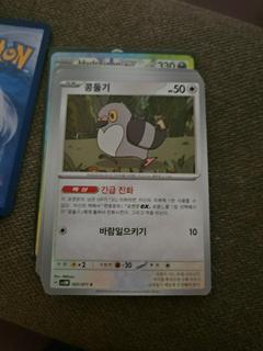 Pidove