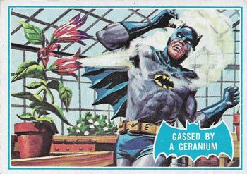 1966 Gassed by a Geranium #33B