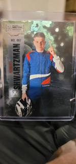 Robert Shwartzman
