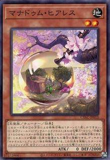 Mannadium Fearless CYAC-JP013