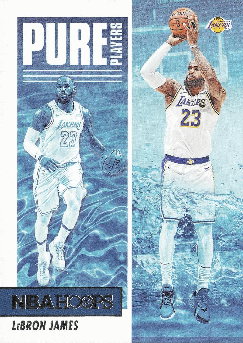 LeBron James [Winter] #4