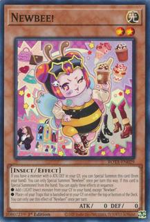 Newbee! ROTA-EN029