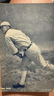Bib Falk