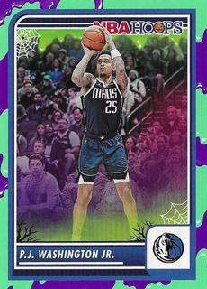 PJ Washington Jr.