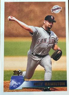 Joey Hamilton