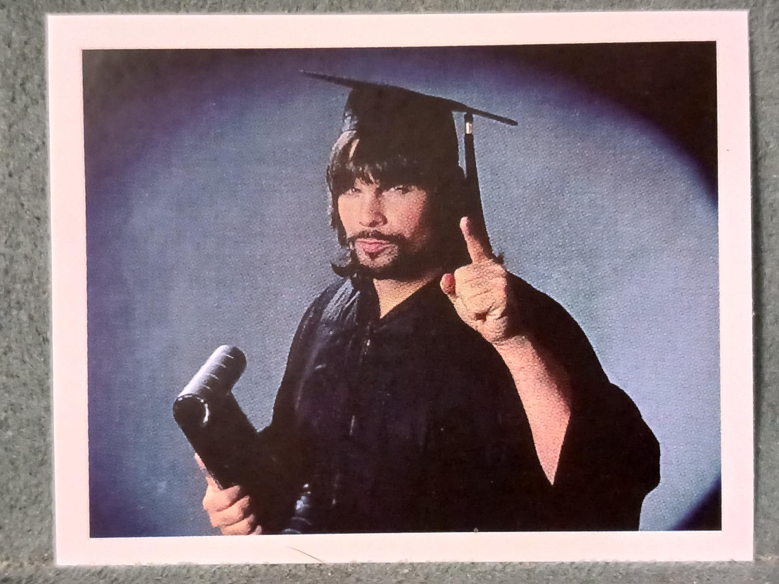 The Genius #121 Wrestling Cards 1992 Merlin WWF Stickers