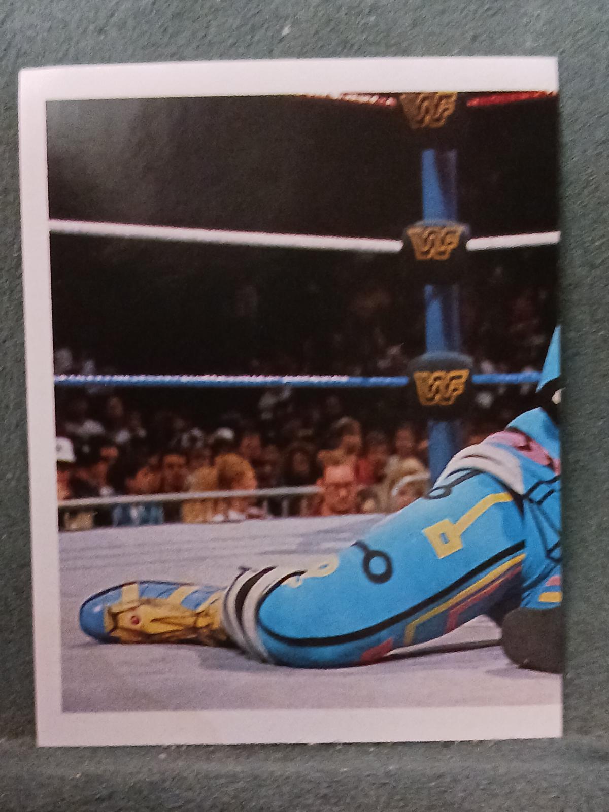 Max Moon #19 Wrestling Cards 1992 Merlin WWF Stickers