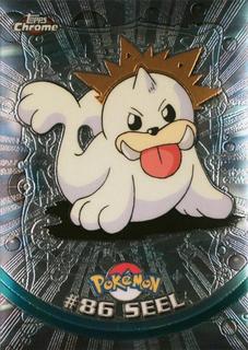 Seel