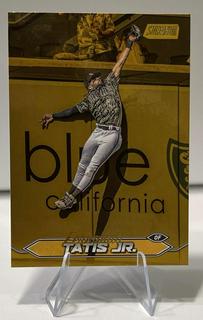 Fernando Tatis Jr.