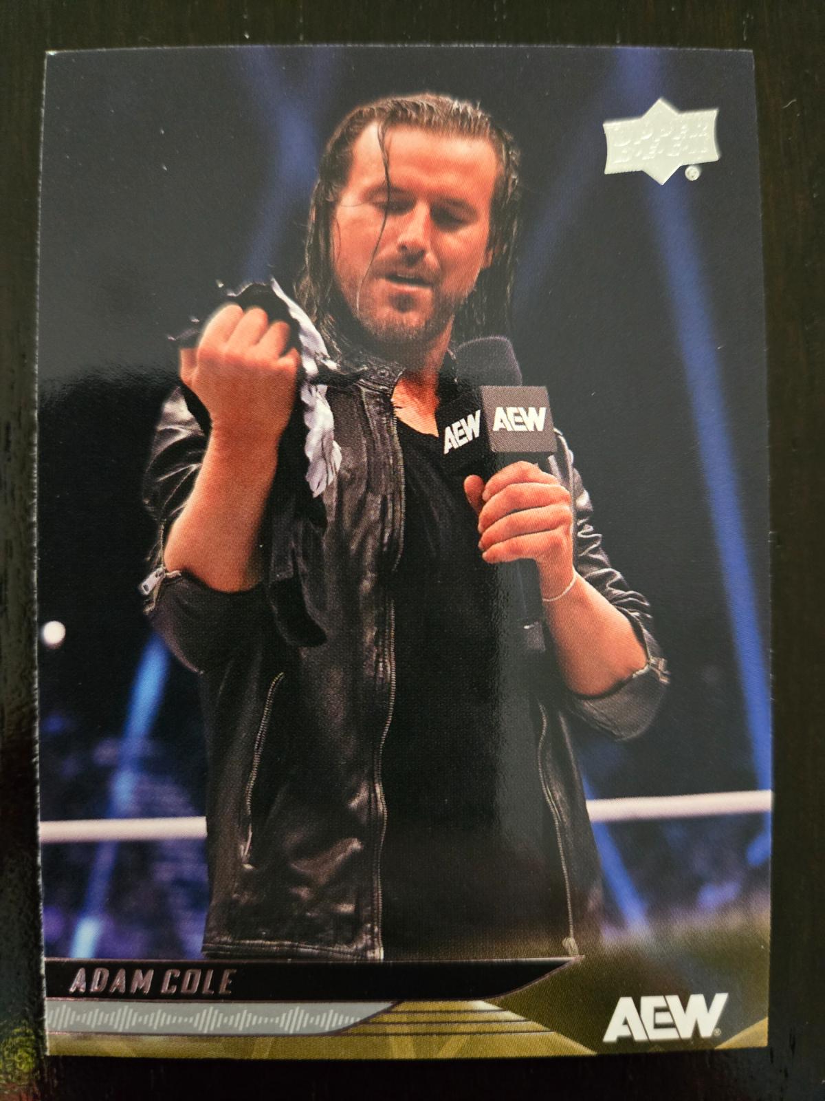 Adam Cole #15 Wrestling Cards 2025 Upper Deck AEW