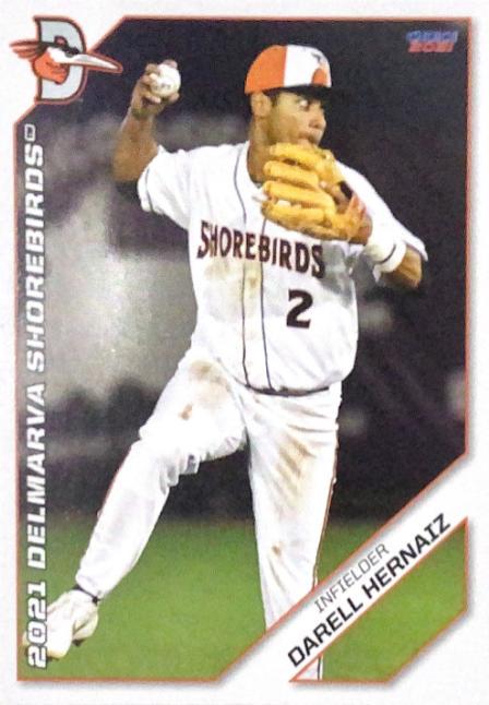 Darell Hernaiz #13 2021 Choice Delmarva Shorebirds Baseball