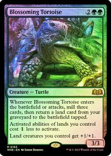 Blossoming Tortoise