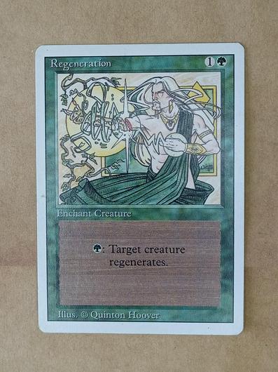 Regeneration #213 photo