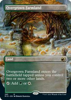 Overgrown Farmland