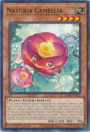 Naturia Camellia DABL-EN021 Cover Art