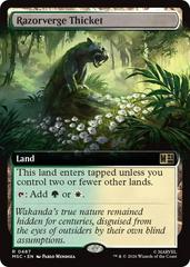 Razorverge Thicket [Extended Art] #487