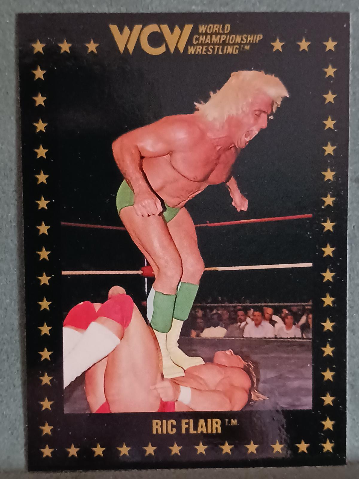 Ric Flair #12 Wrestling Cards 1991 Championship Marketing WCW