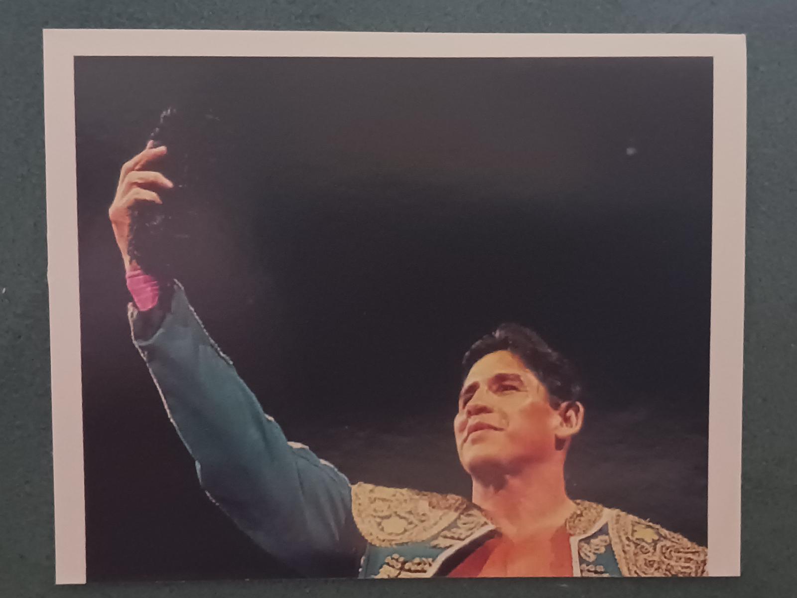 El Matador #132 Wrestling Cards 1992 Merlin WWF Stickers