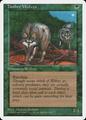 Timber Wolves [Alternate] | Magic 4th Edition