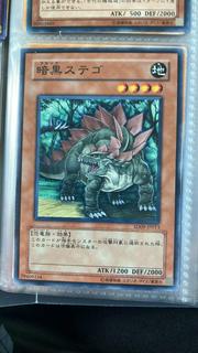 Black Stego SD09-JP013
