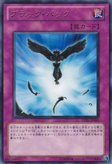 Blackback STBL-JP065