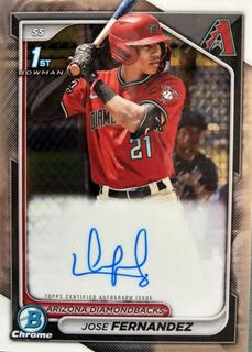 Jose Fernandez