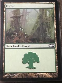 Forest