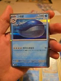 Wailord