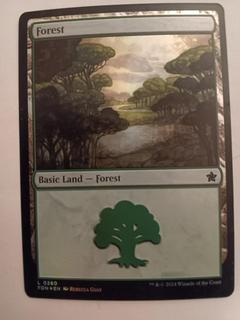 Forest