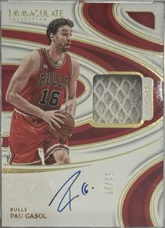 Pau Gasol