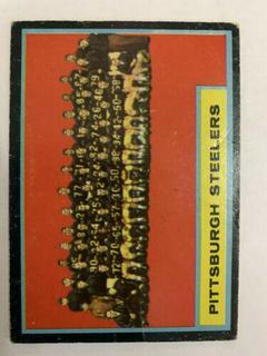 Steelers Team