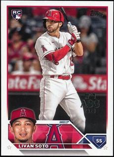 Livan Soto