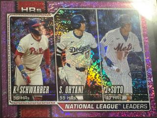 National League Leaders HRs