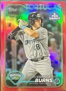 Connor Burns