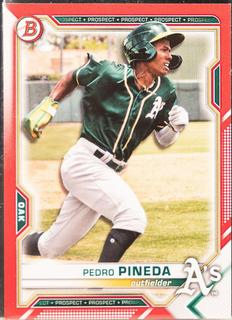 Pedro Pineda
