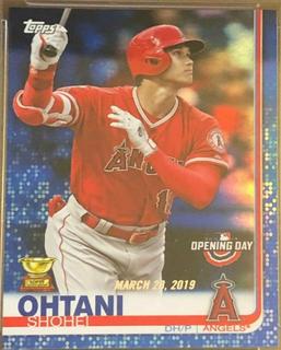 Shohei Ohtani