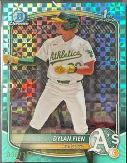 Dylan Fien