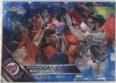 Washington Nationals #318