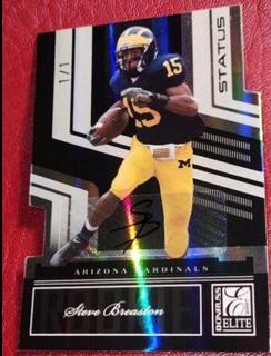 Steve Breaston