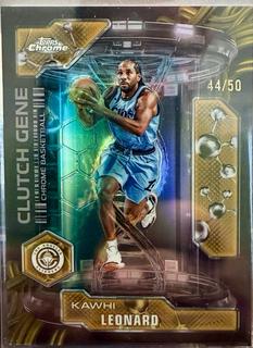 Kawhi Leonard