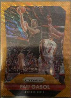Pau Gasol