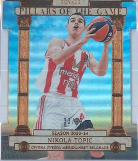 Nikola Topic