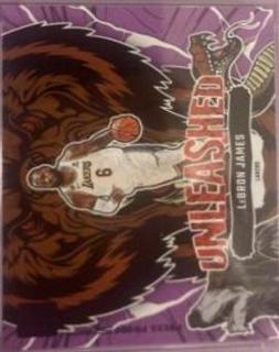 LeBron James